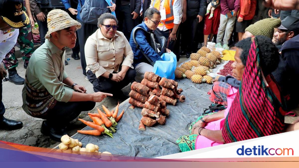 Dampingi Kunker Gibran, Wamendagri Tegaskan Percepatan Pembangunan Papua