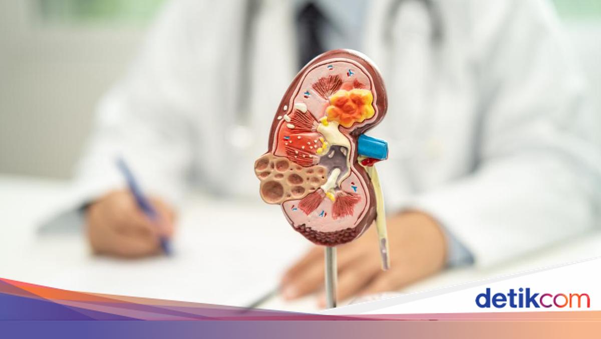 Diet Tinggi Protein dan Risiko Beban Ginjal: Apa Kata Dokter?