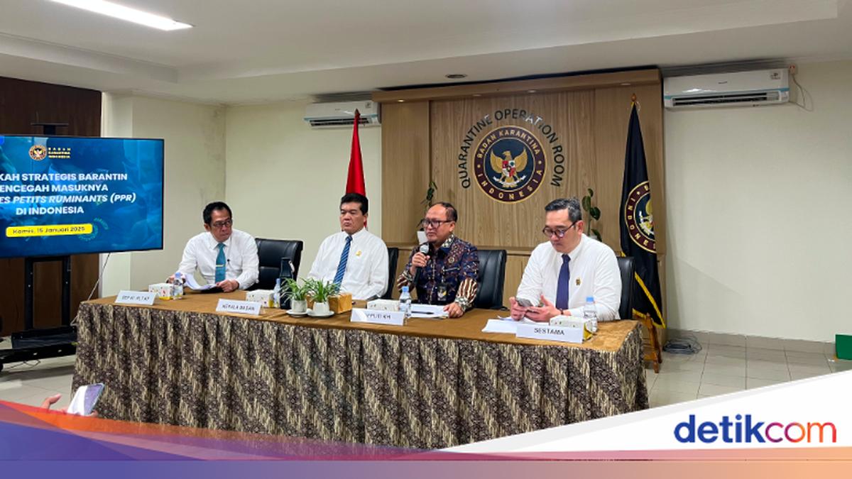 Barantin Antisipasi Virus PPR, Arus Masuk Kambing dan Domba Kini Diperketat
