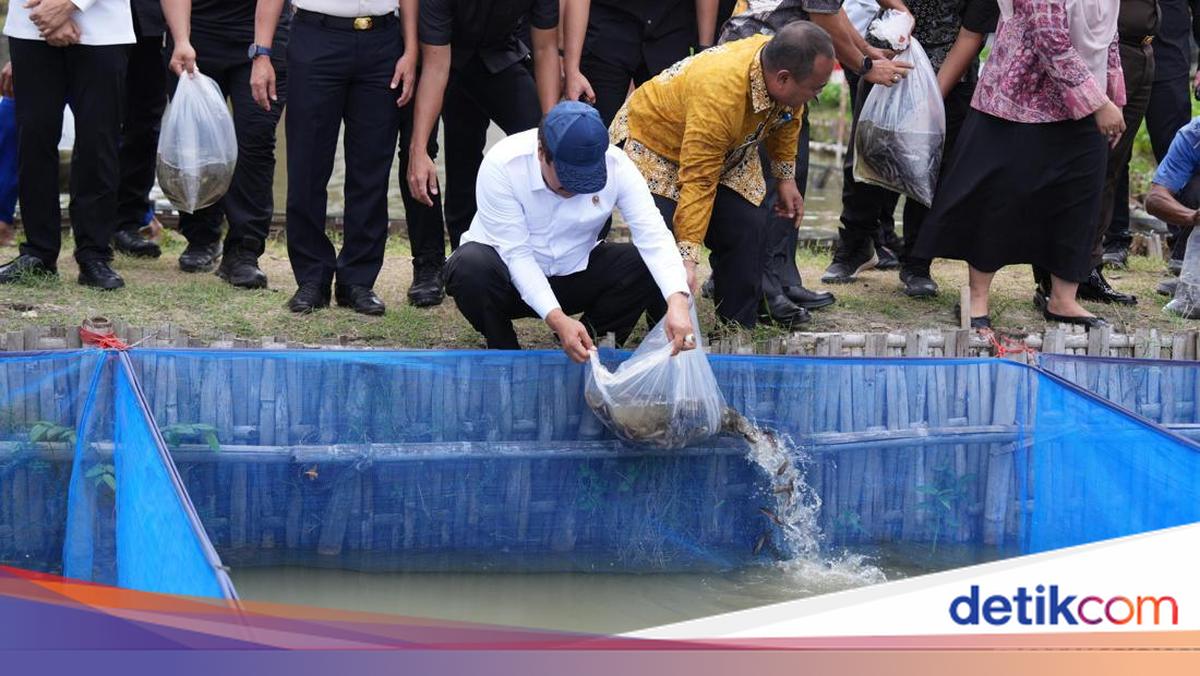 Menteri Imipas Pimpin Panen 1 Ton Nila-Tebar 2.800 Bibit Lele di Lapas Cirebon