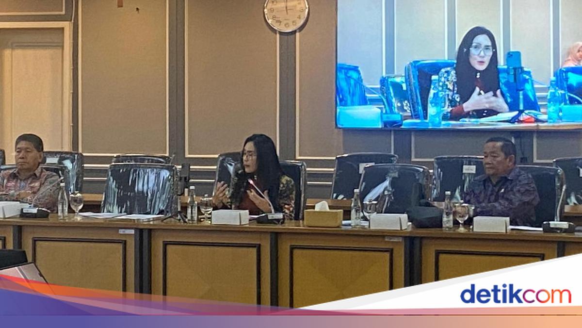 Di Rapat DPR, Rieke PDIP Emosi Bahas Kasus 'Child Grooming' Aurelie Moeremans