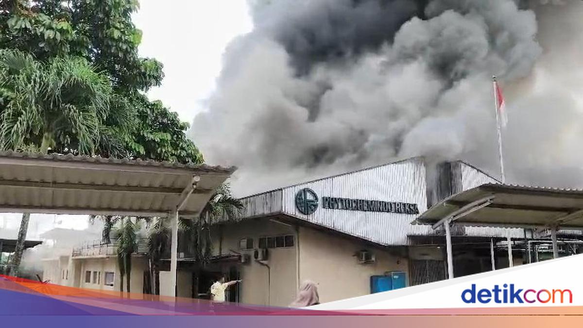 Pabrik Herbal di Gunung Putri Bogor Kebakaran, 5 Unit Damkar Dikerahkan