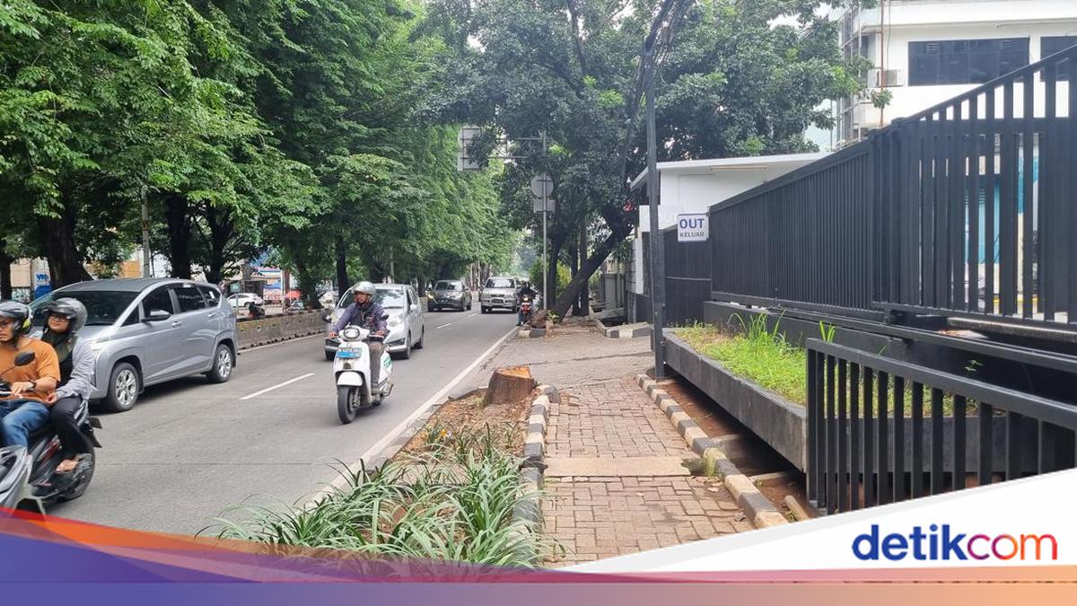 Tebang Pohon di Jalan Jaksel Berujung ASN Terancam Hukuman