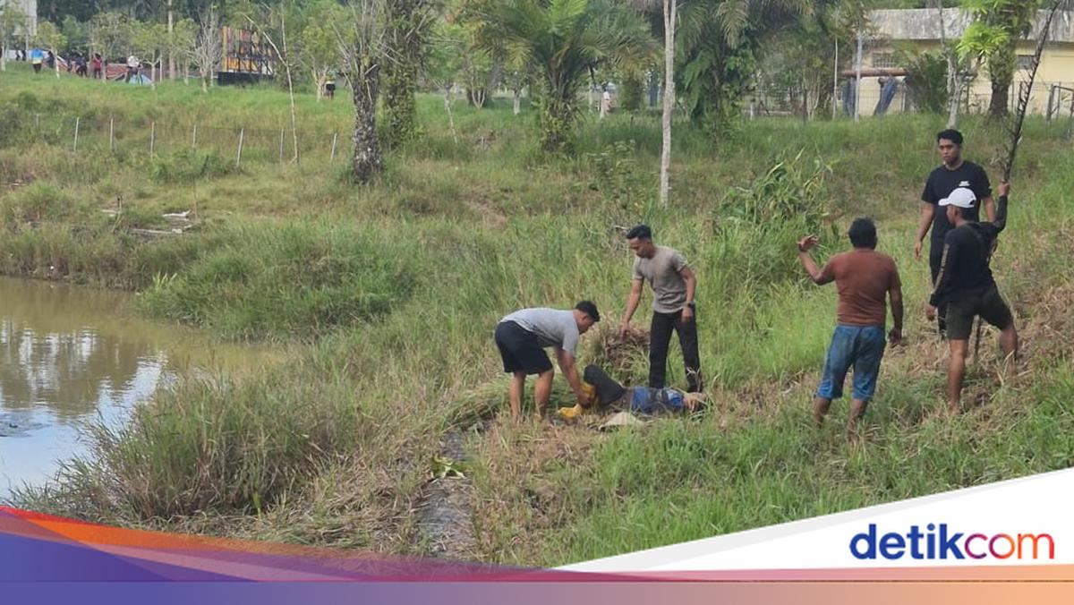 Polisi Selamatkan Emak-emak Diterkam Buaya 3 Meter di Tarakan
