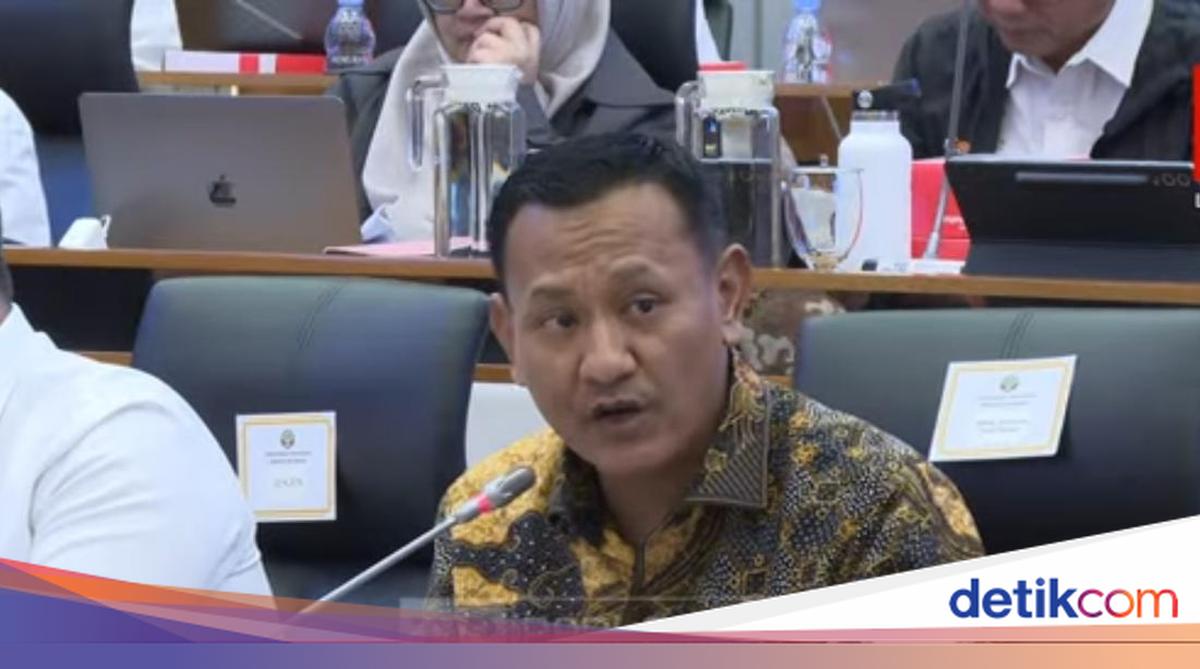 Wamenhut Ungkap Potensi Karhutla Imbas Siklus El Nino di RI pada 2027