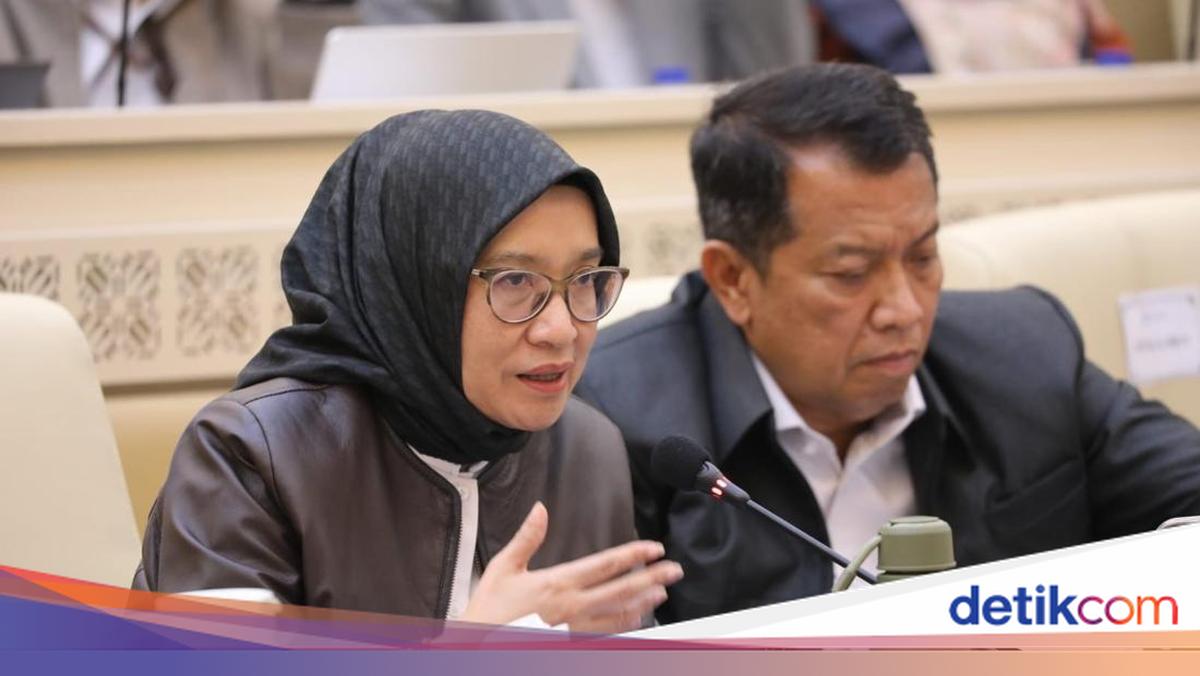 Percepat Pemulihan Pascabencana, MenPAN-RB: Perkuat Tata Kelola-Pelayanan