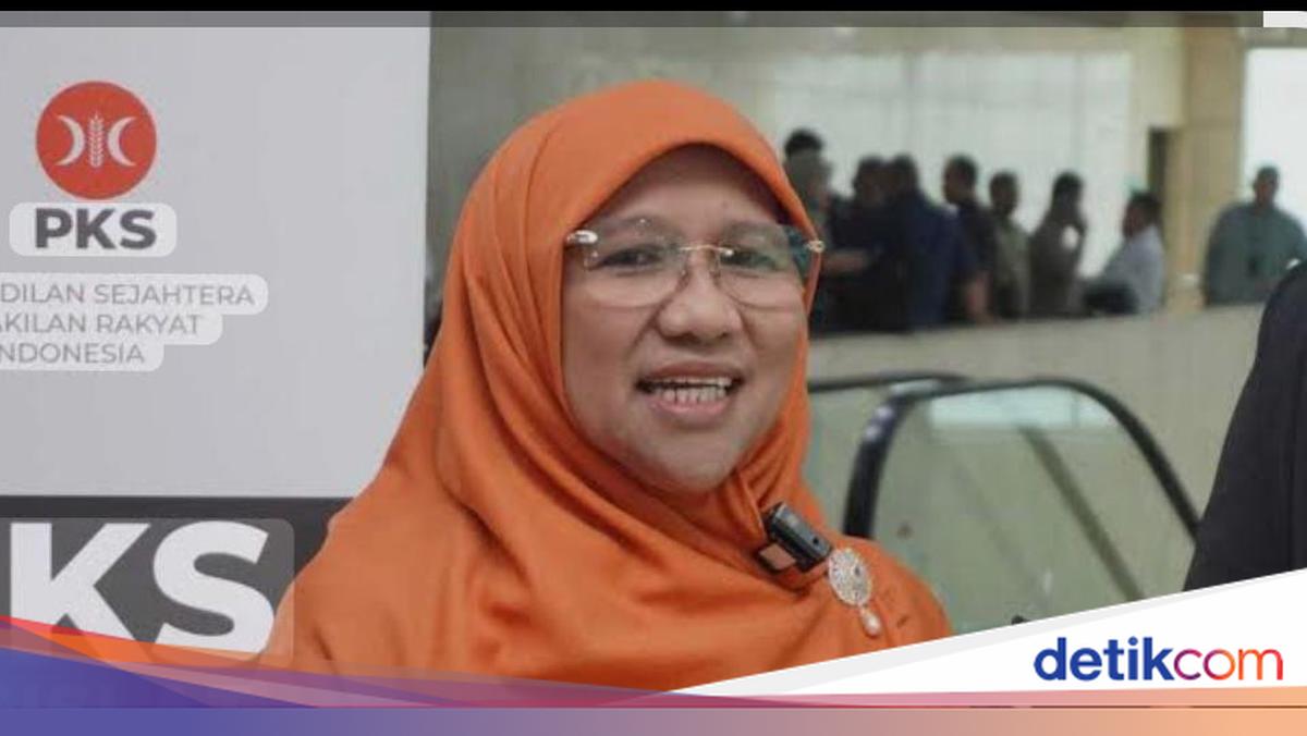 Legislator PKS Soroti Tiket Pesawat Domestik Mahal, Minta Evaluasi Harga