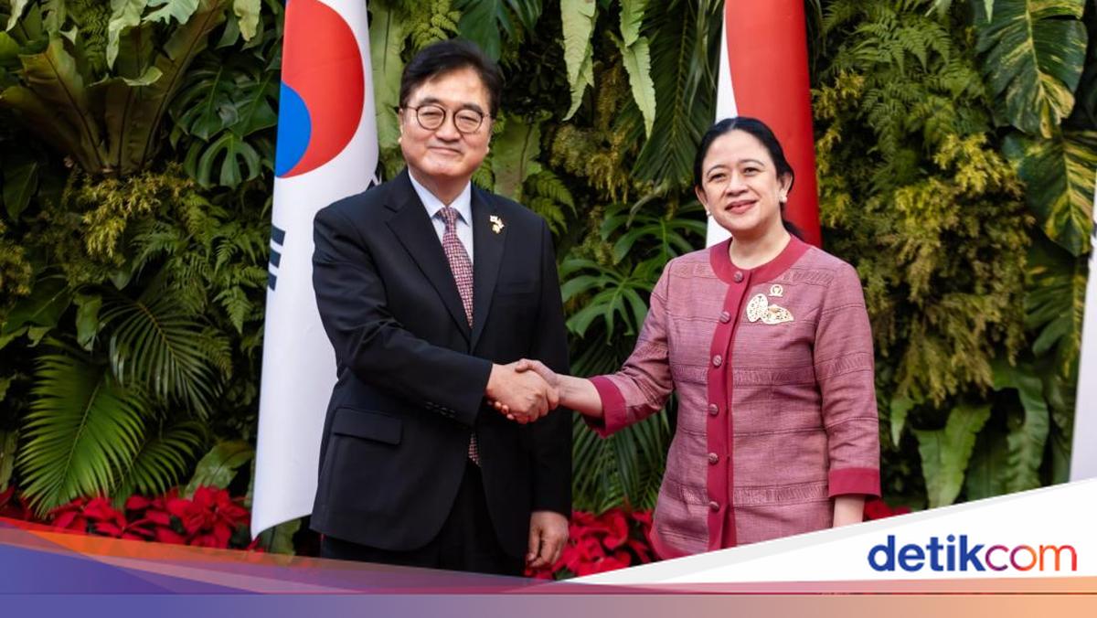 Puan &amp; Ketua Majelis Nasional Korsel Bertemu Bahas Perlindungan PMI