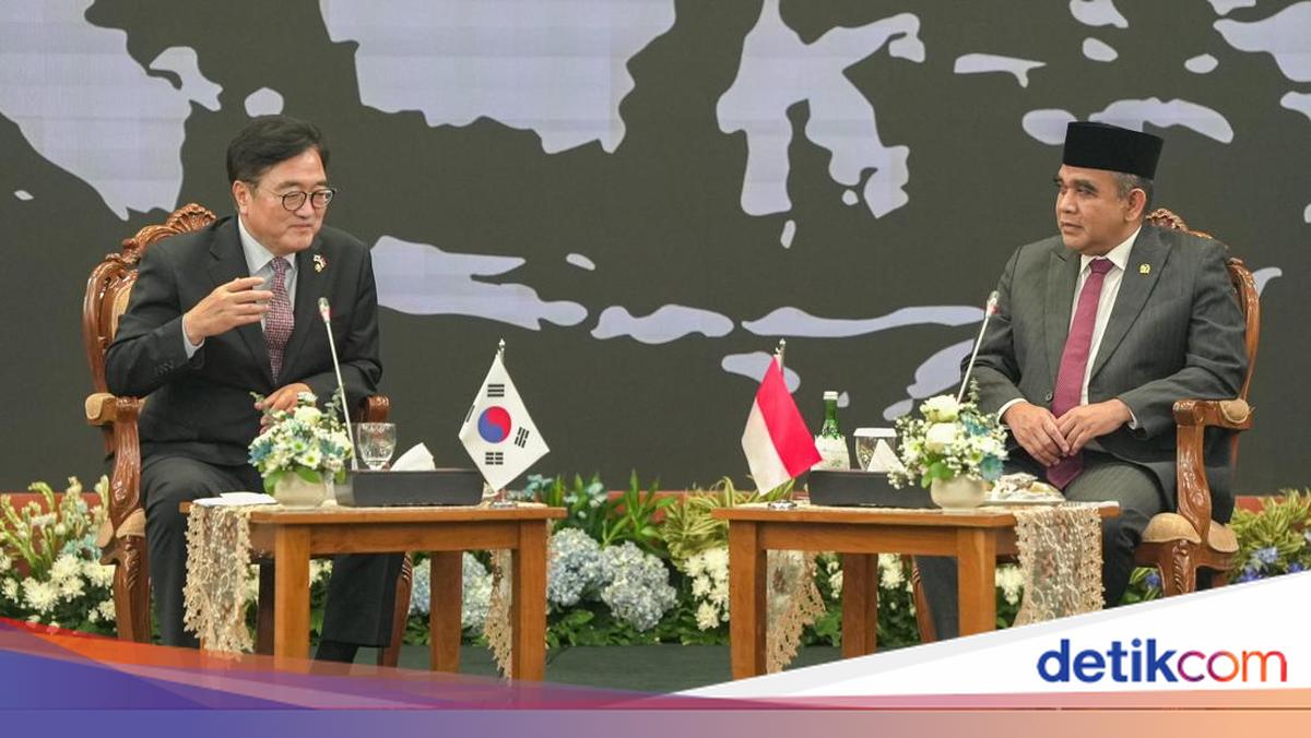 Muzani Bertemu Ketua Parlemen Korsel, Bahas Kisah Sugianto 'Pahlawan PMI'