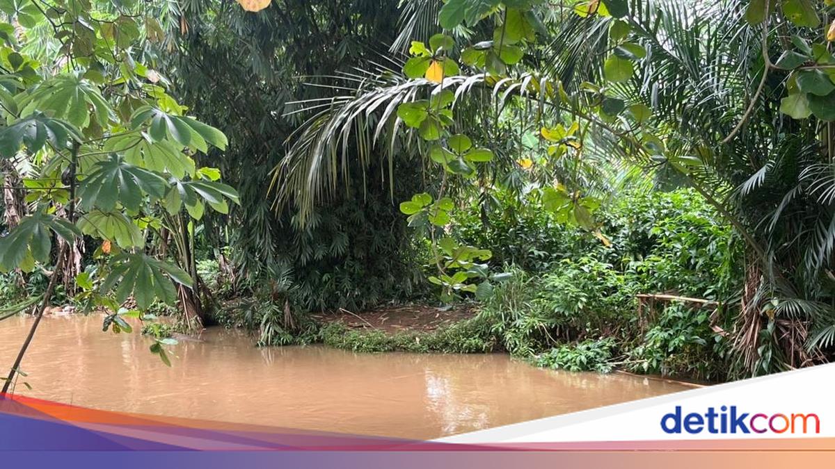 Ini Tempat Nongkrong 'Lisa' Buaya 1,5 Meter yang Bikin Cemas Pihak SMAN 5 Depok