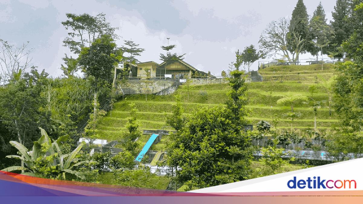 Staycation di Puncak Bogor, Ramah Buat Kantong Mahasiswa