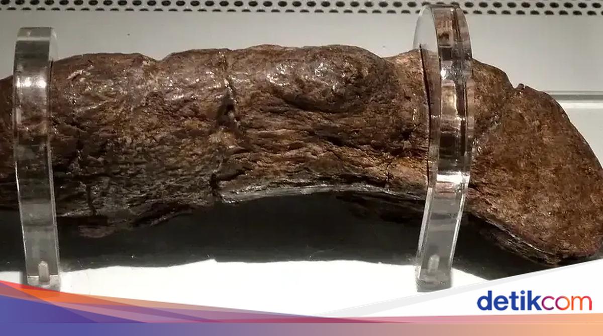 Fosil Kotoran Viking Terbesar di Dunia, Dianggap Setara Permata Mahkota