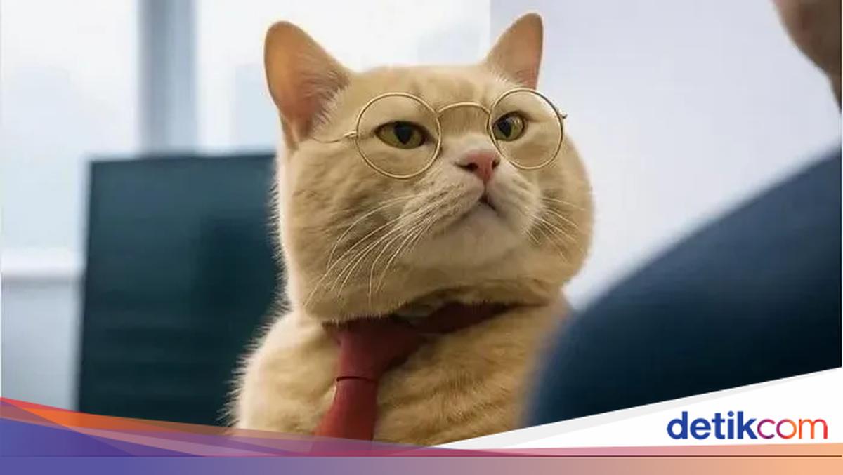 Meme Bikin Resume 'Ngadi-ngadi' buat Ngelamar Kerja, Lah Keterima