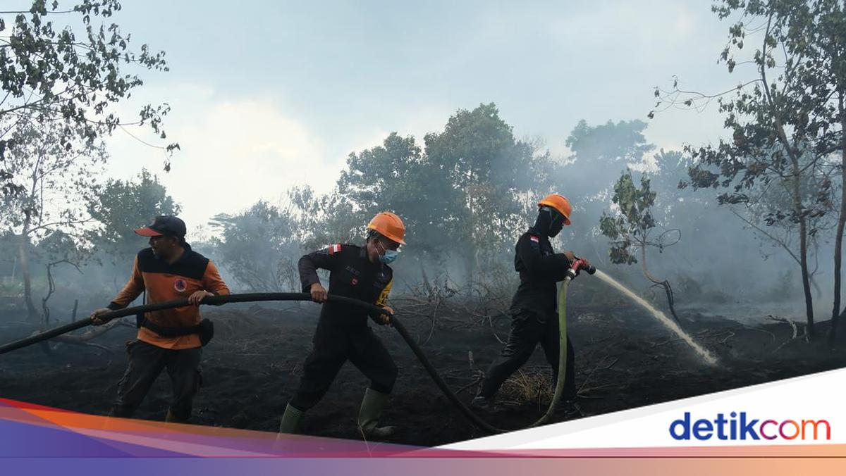 BPBD Catat 413 Titik Karhutla di Kaltim, 936 Hektare Lahan Terbakar