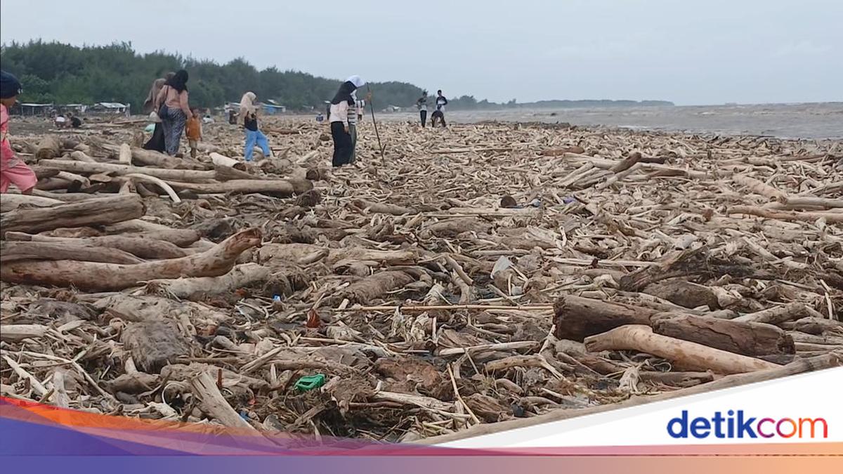 Pemerintah Dalami Dugaan Penebangan Hutan Picu Banjir di Guci Tegal