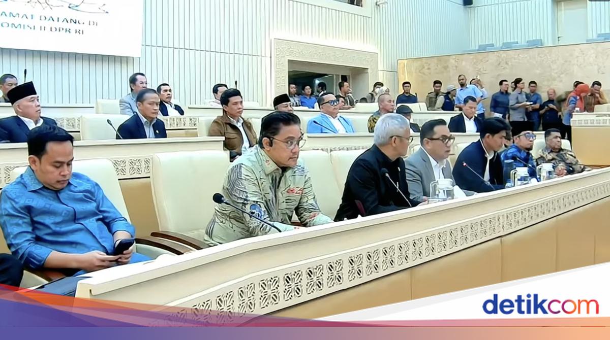 Komisi II DPR Setujui 9 Anggota Ombudsman 2026-2031, Hery Susanto Jadi Ketua