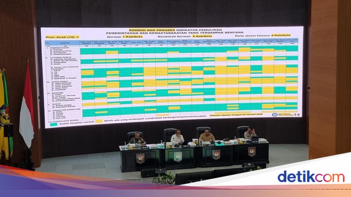 Longsor-Jembatan Putus, 16 Wilayah di Aceh-Sumbar-Sumut Masih Diatensi Khusus