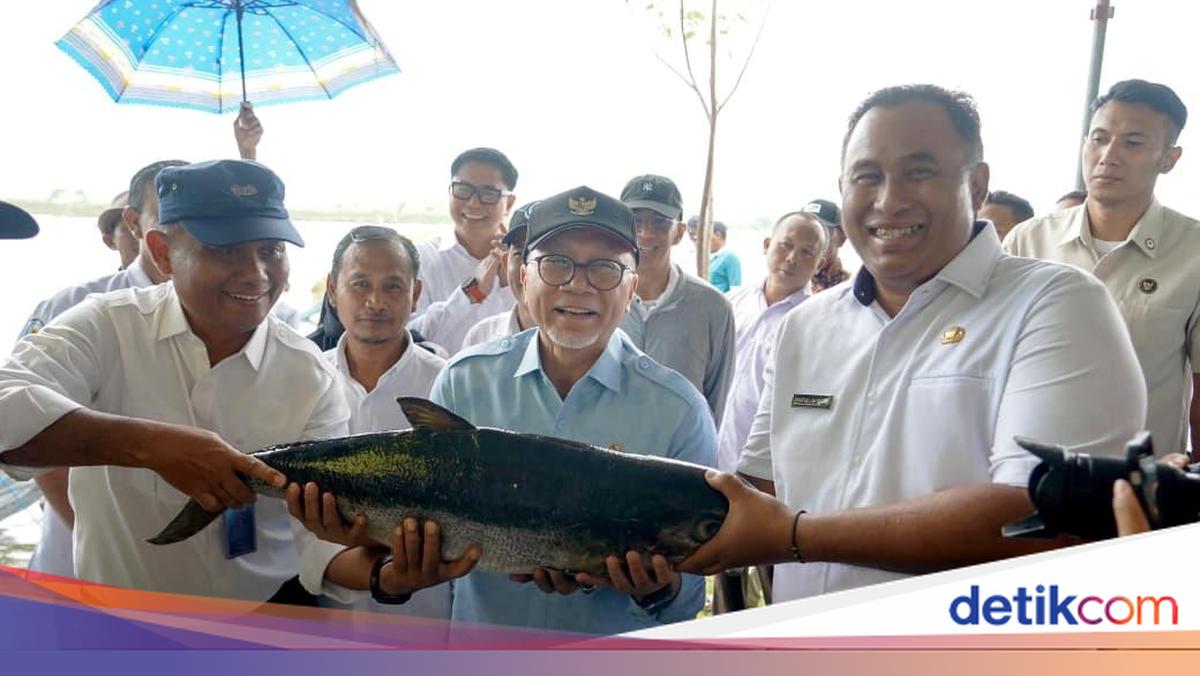 Zulhas: Tahun Ini Kita Akan Bangun 20.000 Ha Tambak dan 2.000 Desa Nelayan
