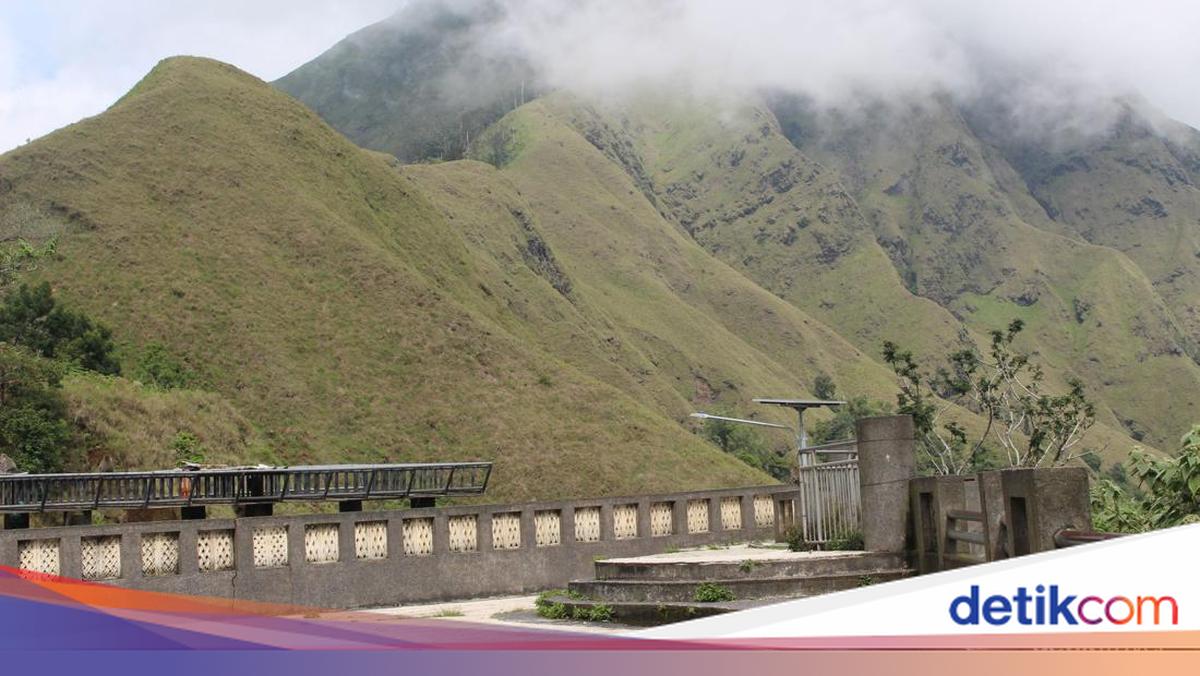 Mengintip Gagahnya Rinjani dari Pusuk Sembalun