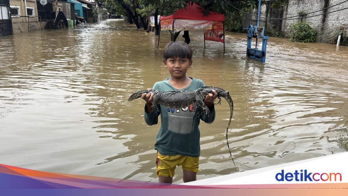 3 Ekor Ular hingga Biawak Ditangkap Warga Kranji Bekasi Saat Banjir