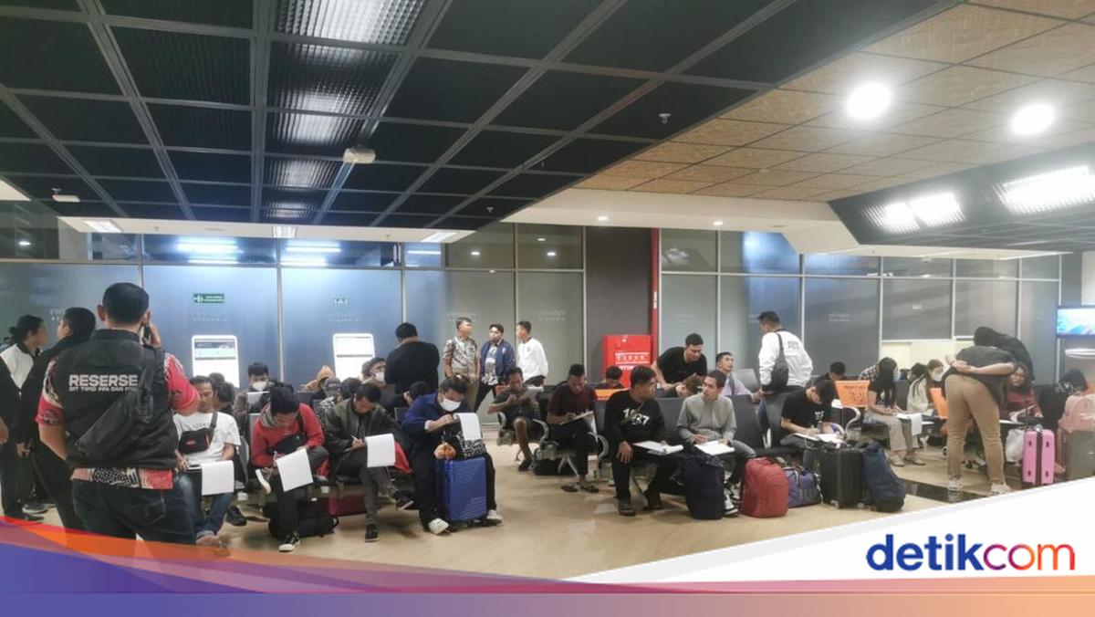 Gelombang Awal WNI Terlibat Scam Dipulangkan dari Kamboja