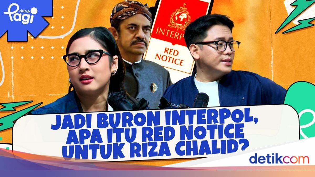 Jadi Buron Interpol, Apa Itu Red Notice Untuk Riza Chalid?