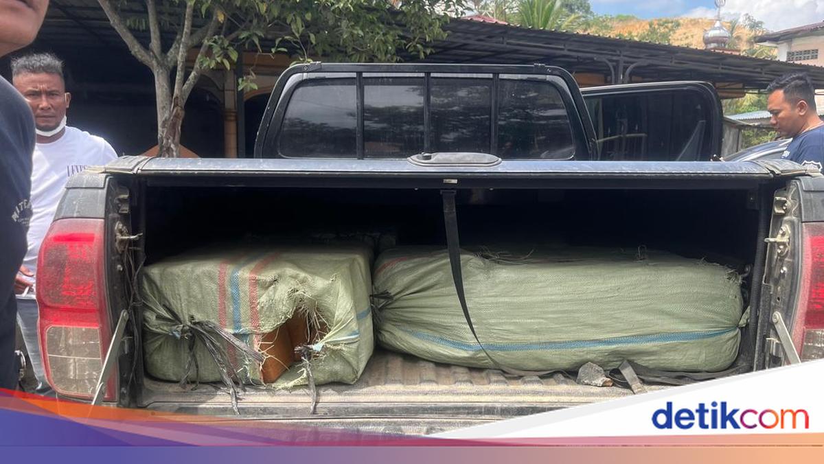 BNN Tangkap 3 Orang Jaringan Narkoba Aceh-Medan, 200 Kg Ganja Disita