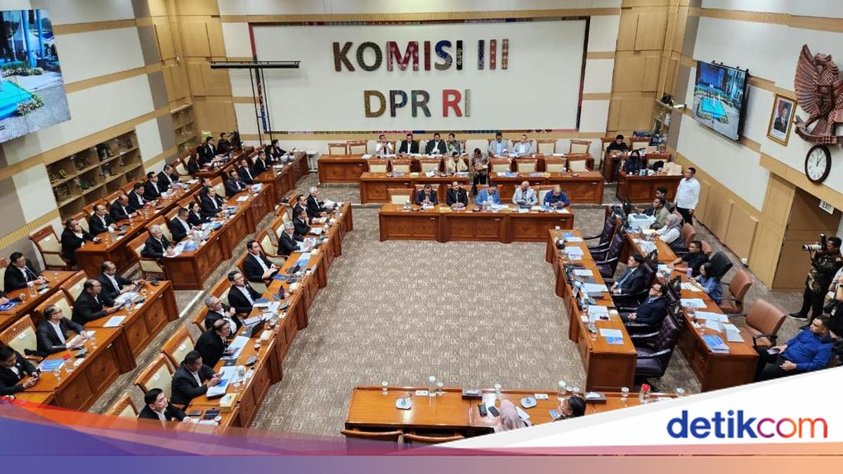 Rapat Bareng Kepala BNN, Anggota DPR Ramai-ramai Soroti Whip Pink