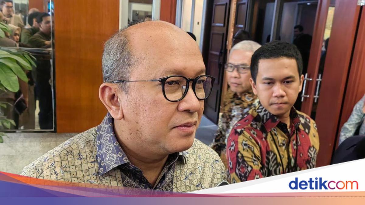 Rosan Ungkap PT DSI Bakal Dipimpin Luke Thomas Mahony