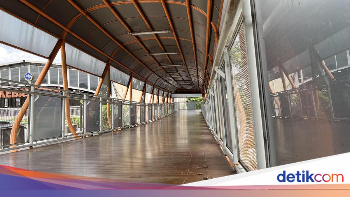Warga Curhat Sering Injak Kotoran Kucing Saat Jalan di Skywalk Kebayoran