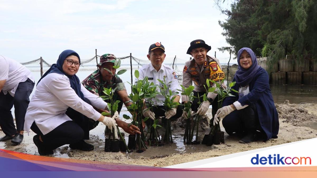 Polisi dan Forkopimda Tanam Mangrove hingga Bersih-bersih Pantai Pulau Tidung