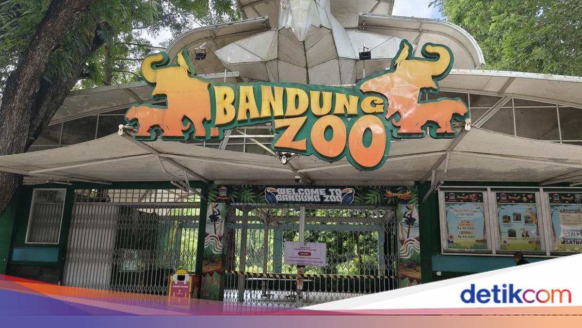 Kemenhut Cabut Izin Konservasi Pengelola Bandung Zoo!