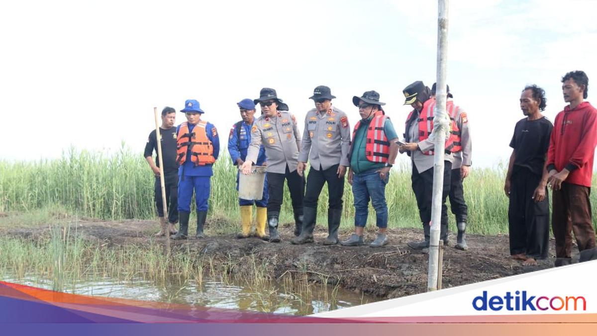 Dukung Ketahanan Pangan, Kapolda Metro Cek Tambak Udang di Muara Gembong