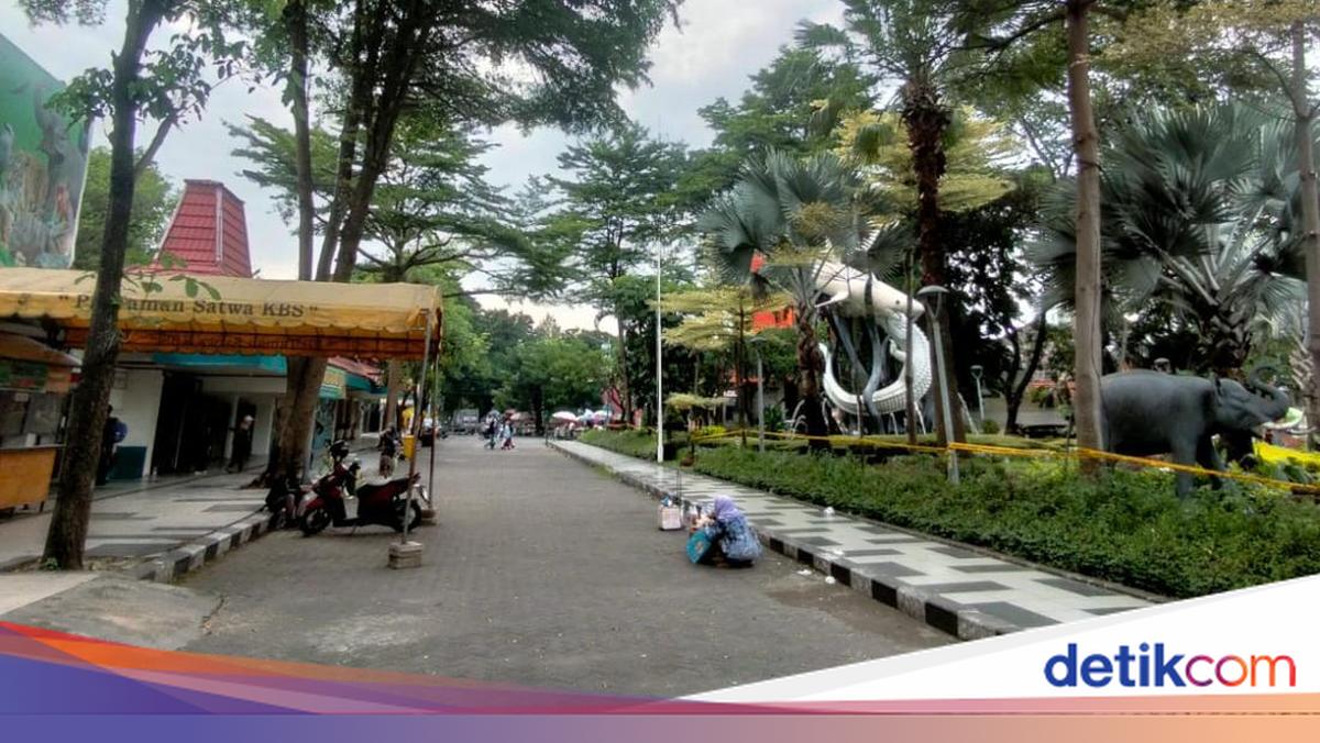 Manajemen KBS angkat bicara usai kantor pengelola digeledah Kejati Jatim  terkait dugaan korupsi pengelolaan keuangan, yang memicu sorotan publik soal dampaknya terhadap operasional kebun binatang. Ini respons dari manajemen KBS!

Via @detikjatim_