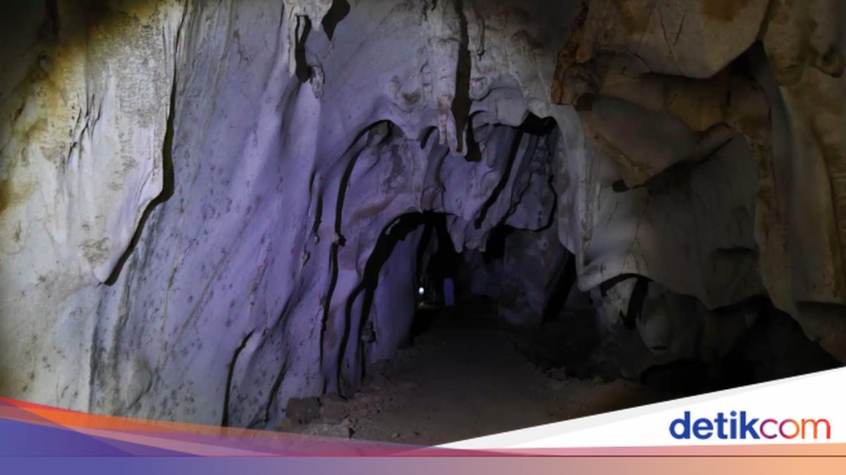 4万年間封印されていた洞窟が開き、ネアンデルタール人が洗練されていたことが判明
