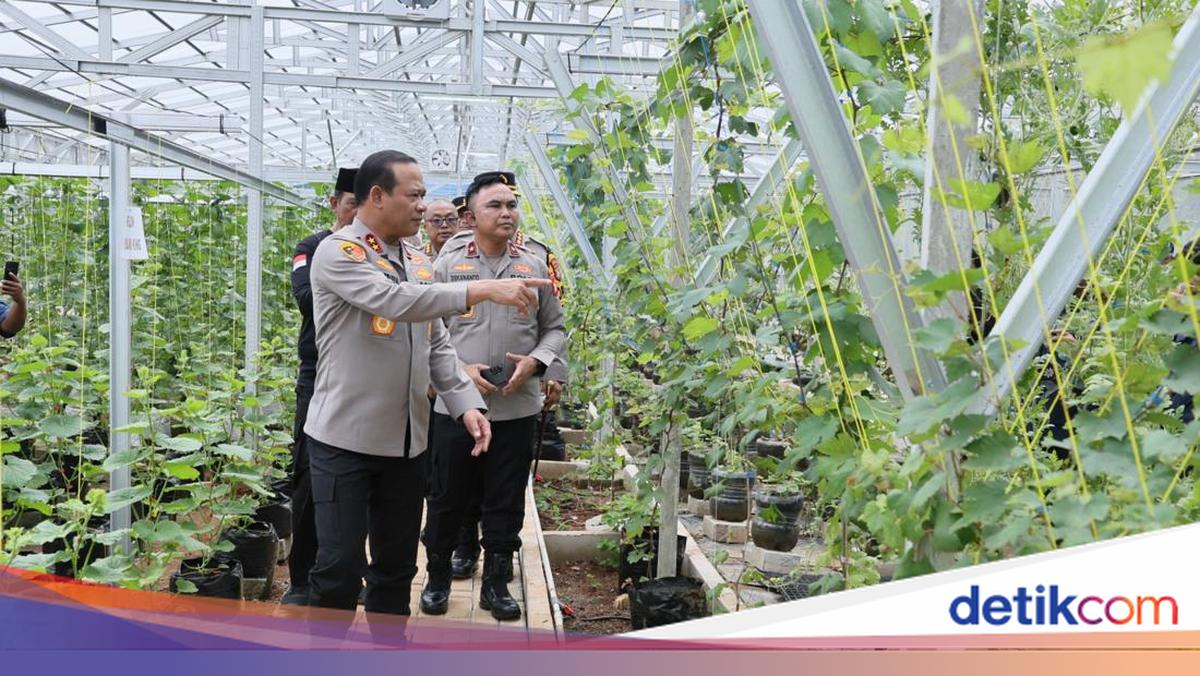 Dukung Kemandirian Pangan, Kapolda Metro Tinjau Green House di Bekasi