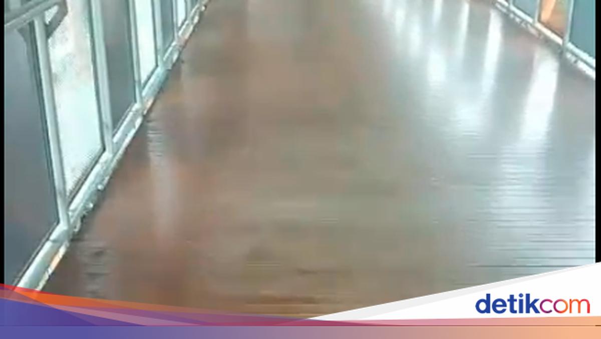Skywalk Kebayoran Kini Bersih dari Kotoran Kucing, Ada Petugas Kebersihan