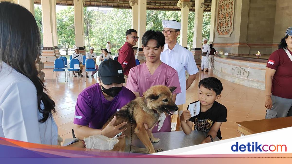 Badung Siapkan 121 Ribu Dosis Vaksin Rabies
