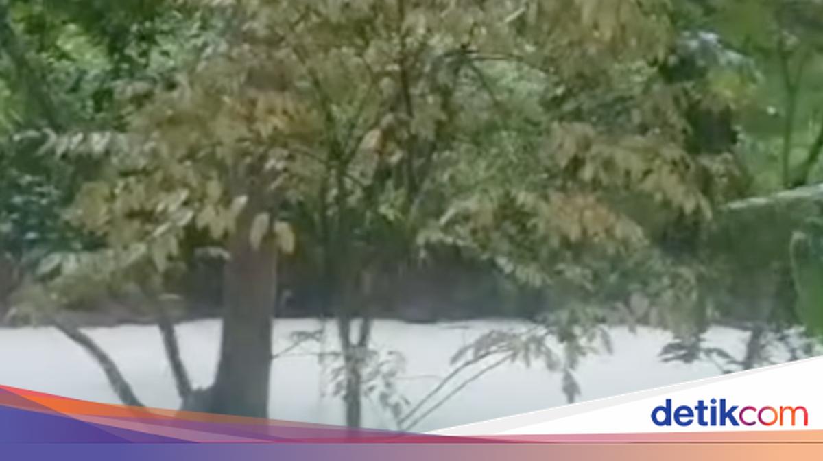 Ngerinya Kebakaran Pabrik Pestisida di Tangsel hingga Cemari Sungai