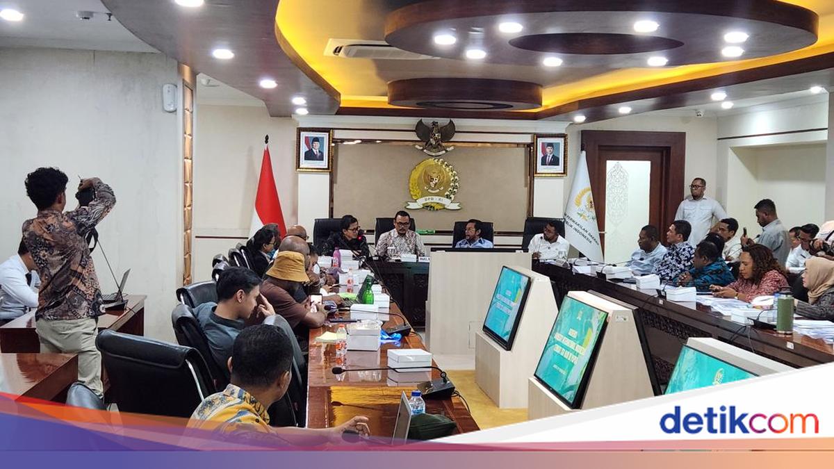 Amnesty International Temui DPD RI Bahas Isu HAM di Papua