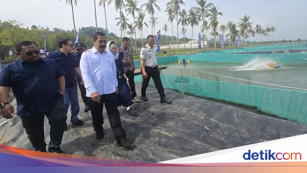 Menimipas soal Budidaya Sidat di Nusakambangan: Napi Terampil, Nelayan Hidup