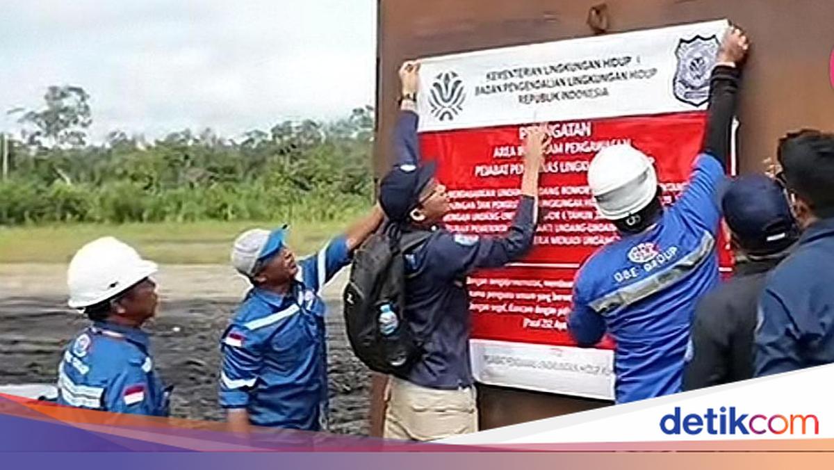 Bikin Populasi Pesut Mahakam Turun, 2 Perusahaan Ditindak