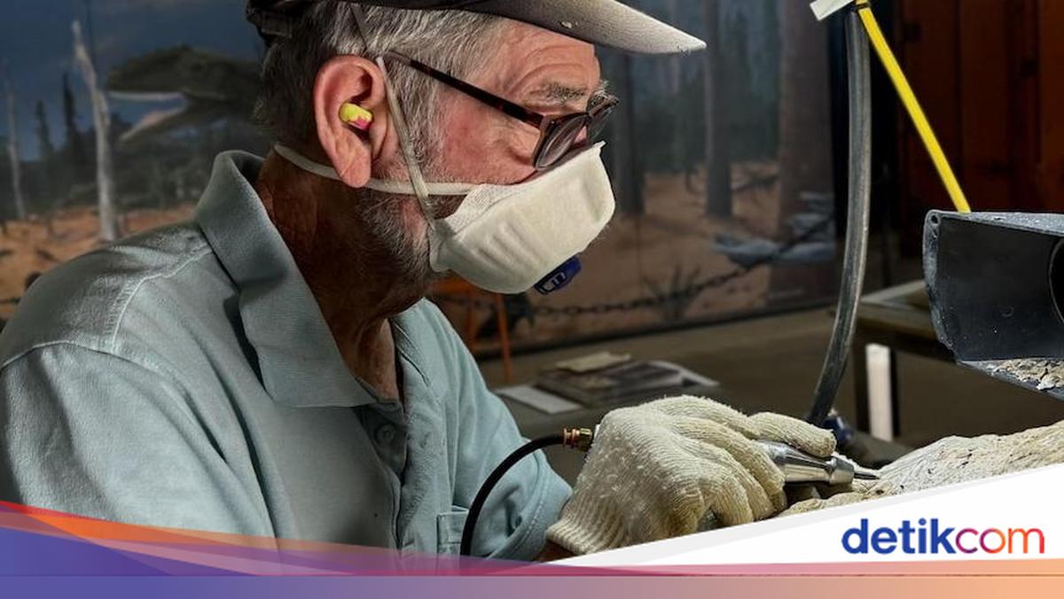 Warga Dunia Bersatu Bersihkan Fosil Ichthyosaur 100 Juta Tahun di Australia