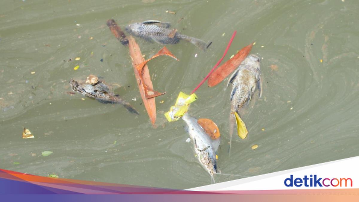 Gudang Pestisida Cemari Sungai Cisadane Bakal Digugat