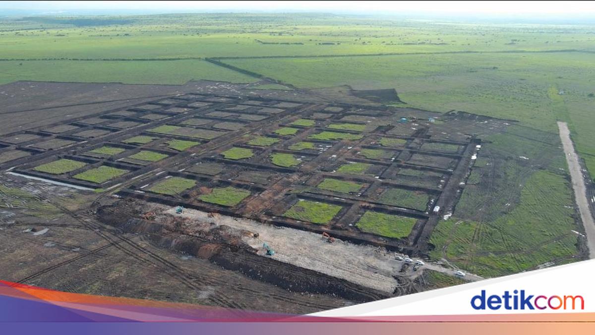KKP Mulai Pembangunan Kawasan Tambak Udang Terintegrasi di Waingapu