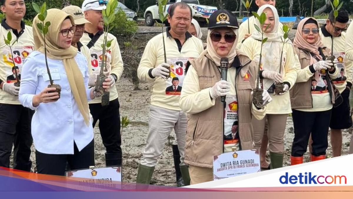 Peringati HUT Gerindra, Legislator Gerindra Tanam 1.000 Mangrove di Lampung