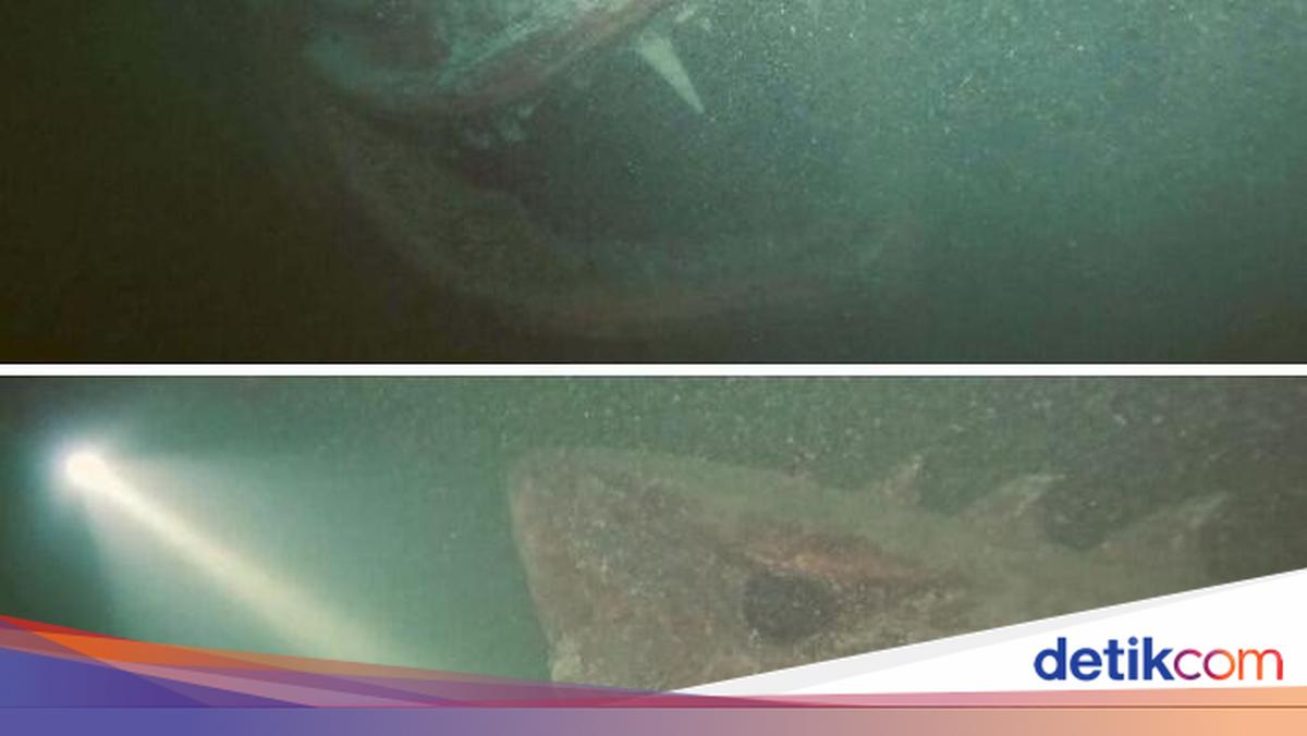 Foto yang Bikin Kamu Takut dengan Laut, Banyak Hal Misterius