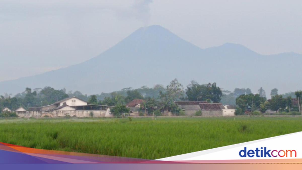 Gunung Semeru Erupsi Pagi Ini, Luncurkan Awan Panas Sejauh 6 Kilometer