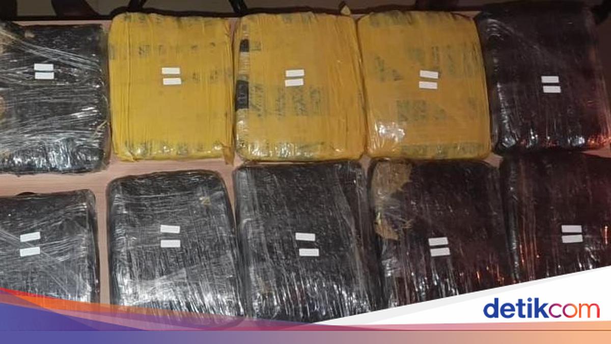 Polda Metro Jaya Amankan 15,5 Kg Ganja, Tiga Tersangka Ditangkap di Dua Lokasi