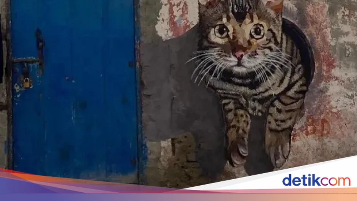 Kumpulan Foto yang Bisa Jadi Mood Booster